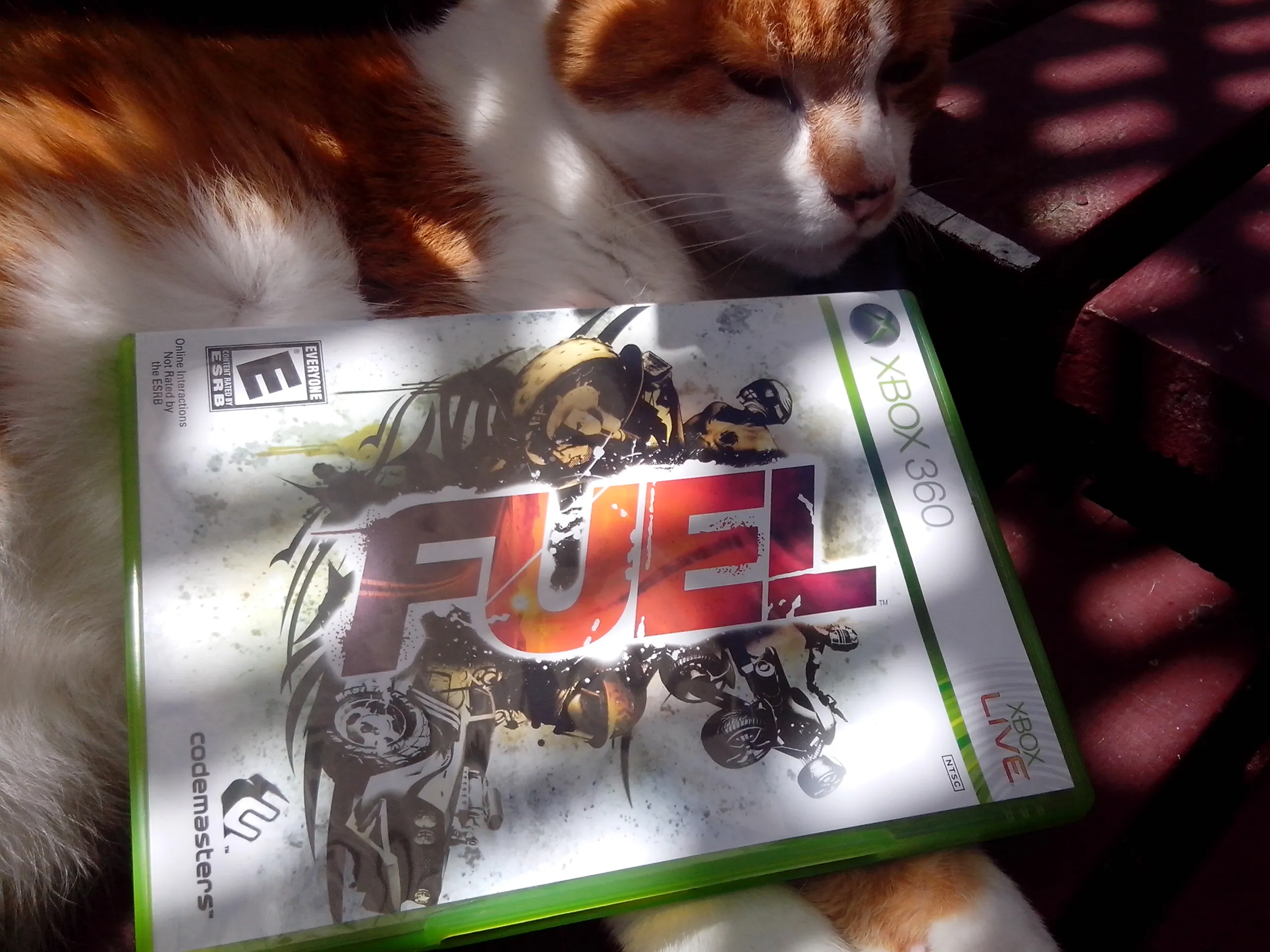 Fuel is a 2009 racing game developed by Asobo Studios. It holds a very notable record - The largest playable environment in a console game.